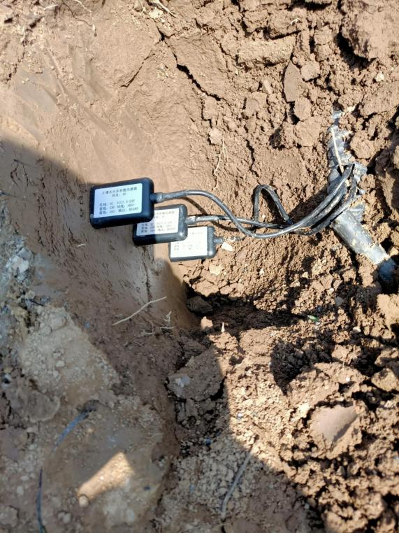 土壤水勢測試儀圖片2 土壤水勢測試儀圖片2