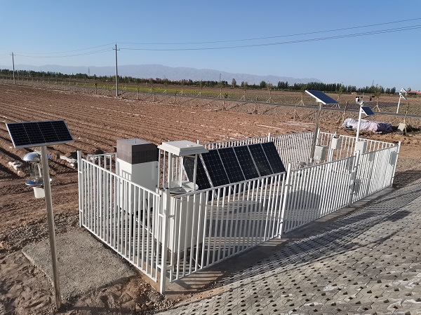 蟲情監測圖片3 蟲情監測圖片3