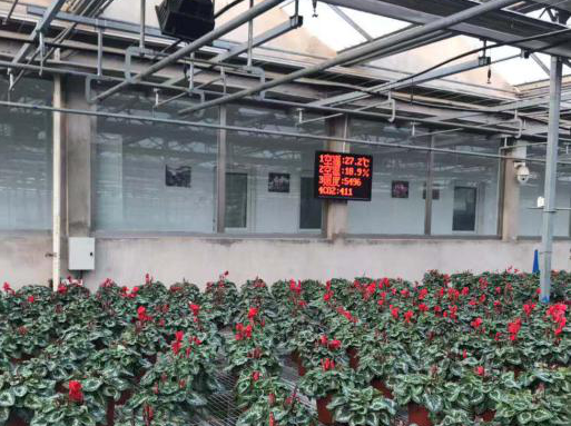 智慧農業大棚控制系統圖片4 智慧農業大棚控制系統圖片4