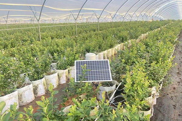 智慧農業氣象站圖片1 智慧農業氣象站圖片1