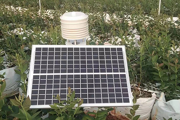 多功能自動氣象站圖片1 多功能自動氣象站圖片1