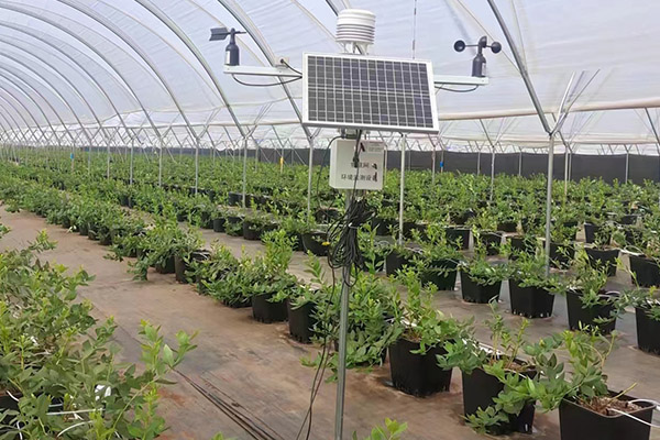 農(nóng)業(yè)氣象自動觀測站圖片2 農(nóng)業(yè)氣象自動觀測站圖片2