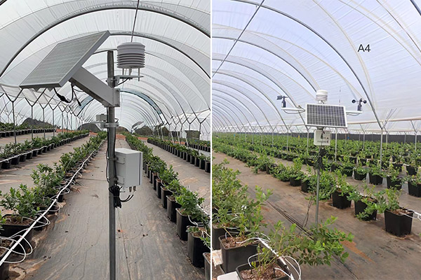 便攜氣象站圖片3 便攜氣象站圖片3