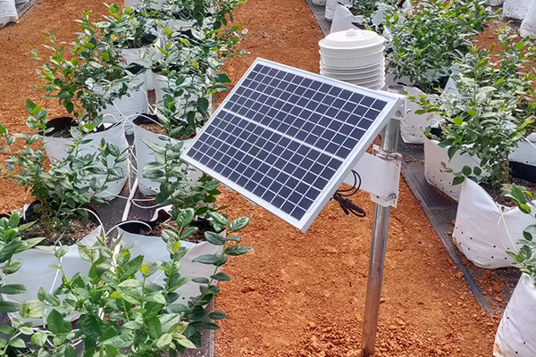 氣象監測站圖片3 氣象監測站圖片3