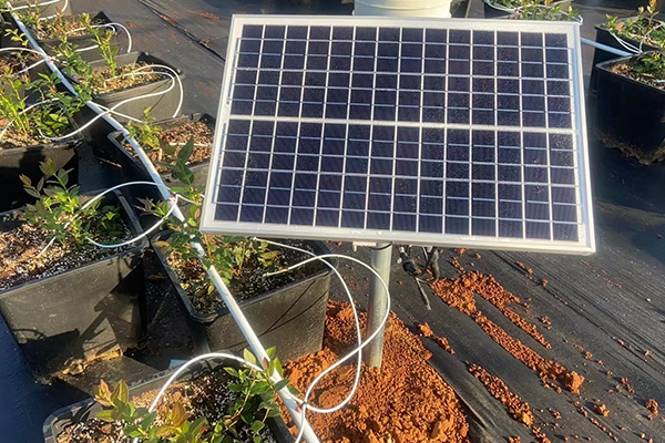 高效特色農(nóng)業(yè)設(shè)備圖片3 高效特色農(nóng)業(yè)設(shè)備圖片3