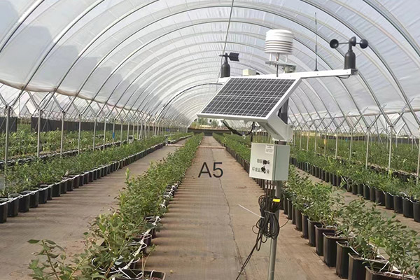 智慧大棚環境監測系統圖片5 智慧大棚環境監測系統圖片5