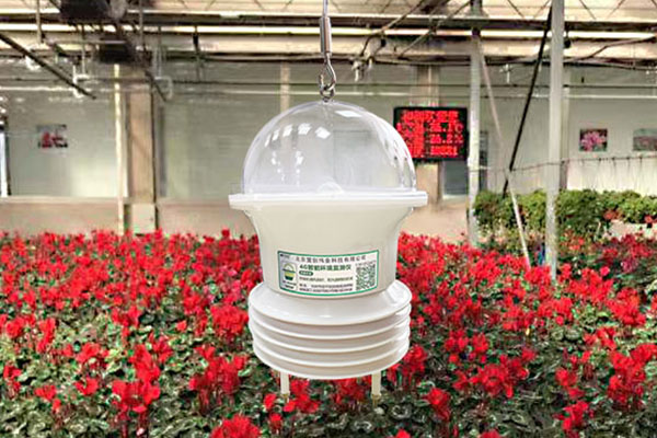 便攜式溫濕度測量儀圖片2 便攜式溫濕度測量儀圖片2