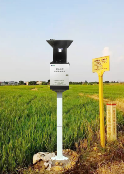 物聯(lián)網(wǎng)天牛智能監(jiān)測系統(tǒng)圖片3