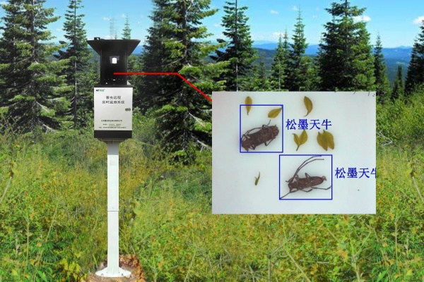 物聯(lián)網(wǎng)天牛智能監(jiān)測系統(tǒng)圖片1 物聯(lián)網(wǎng)天牛智能監(jiān)測系統(tǒng)圖片1