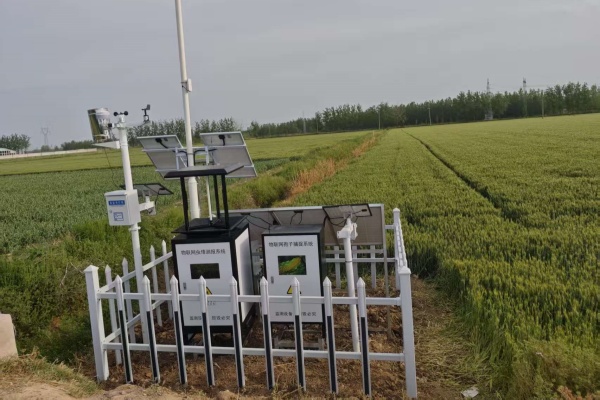 農業小氣候監測站圖片2 農業小氣候監測站圖片2