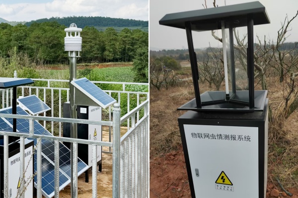 智慧農情監測系統圖片4