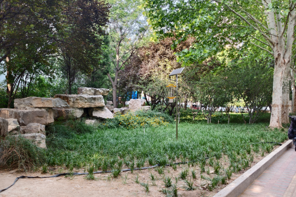 太陽能立桿式殺蟲燈圖片3 太陽能立桿式殺蟲燈圖片3