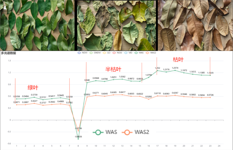 1755654320631392.png 圖片9.png