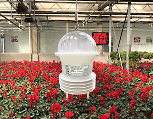 “智能花藍(lán)”4G環(huán)境數(shù)據(jù)監(jiān) “智能花藍(lán)”4G環(huán)境數(shù)據(jù)監(jiān)