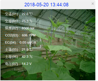 環境監測站圖片6 環境監測站圖片6